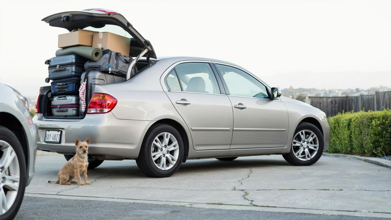 Overloaded vehicle putting stress on tires.